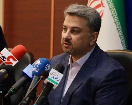 واردات ۴۵۰ مگاوات برق از ترکیه برای تأمین برق پتروشیمی‌ها در دستور کار است